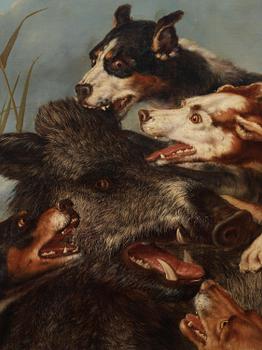 P. Vallati, Wild boar hunting with dogs.