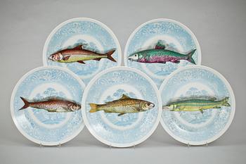 FISKTALLRIKAR, 10 st, porslin, "Piscibus", Fornasetti, Italien, 1955.