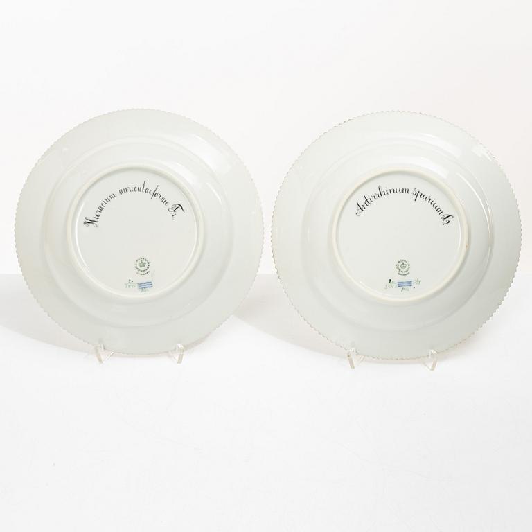 Royal Copenhagen, seven plates, 'Flora Danica', Denmark.