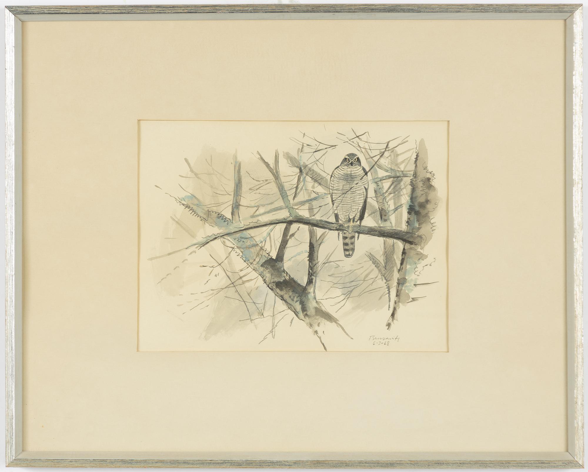 Gunnar Brusewitz, Falcon.