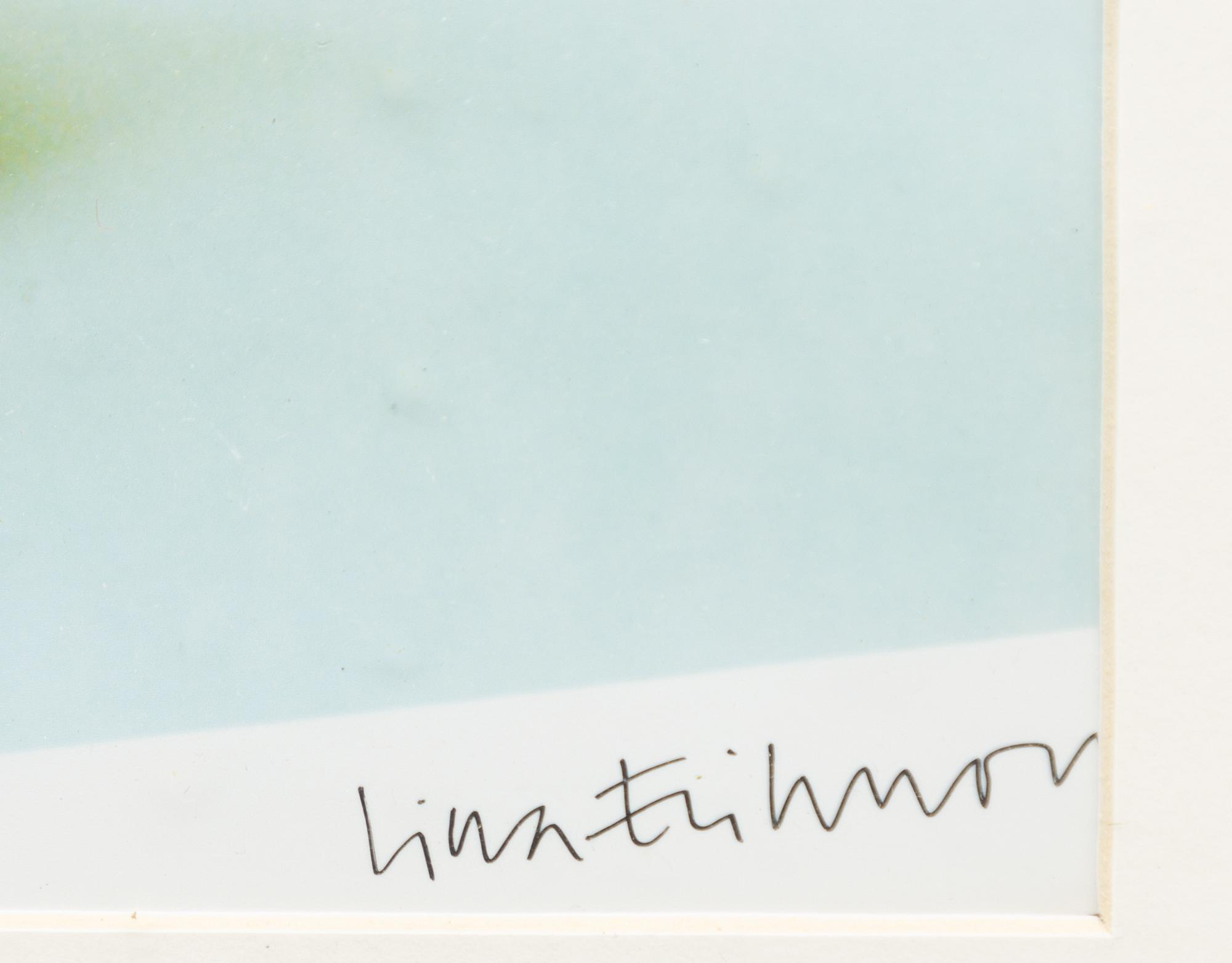 Lina Eriksson, Utan titel, 5 st.