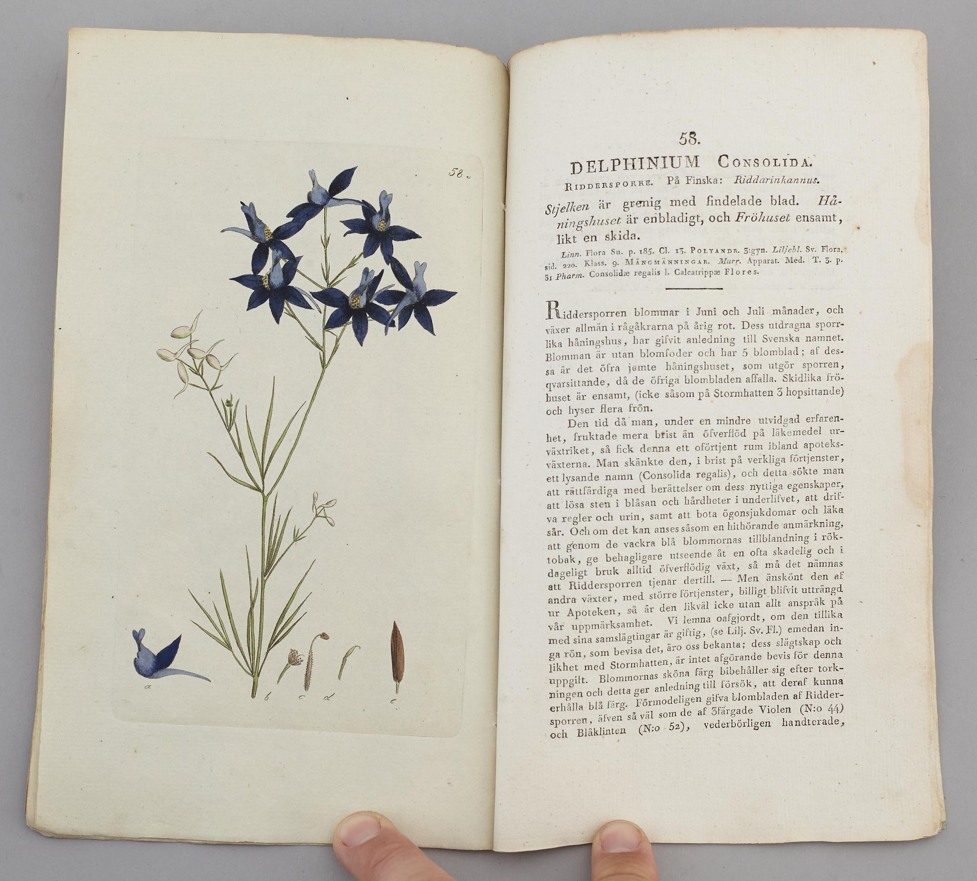 JOHAN WILHELM PALMSTRUCH, "Svensk Botanik, vol I-V. 1803-1805.