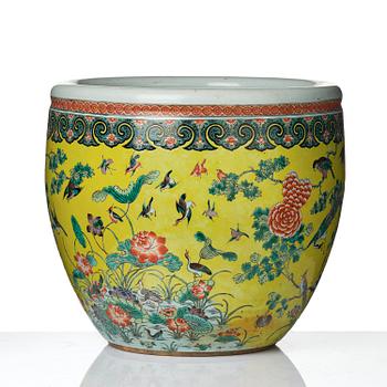 A large yellow ground '100 birds' fish basin, Qing dynasty, 19th century.