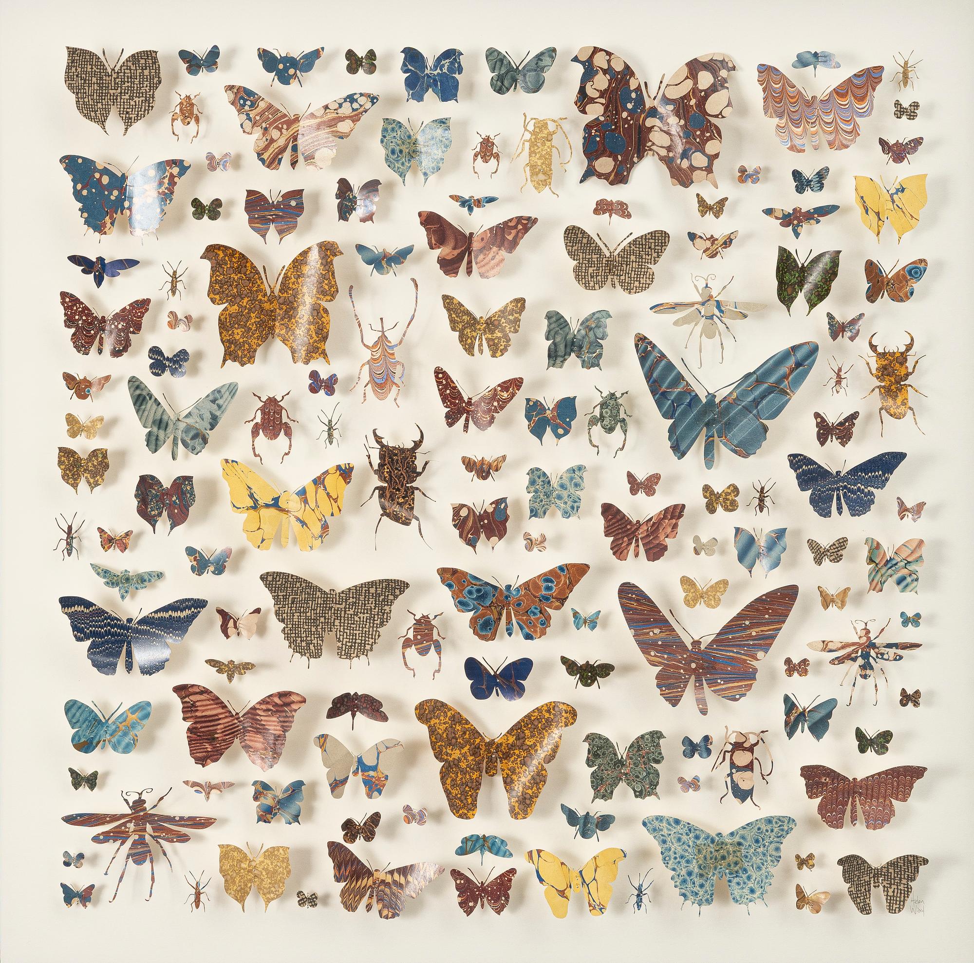 Helen Ward, "Paper Entomology".