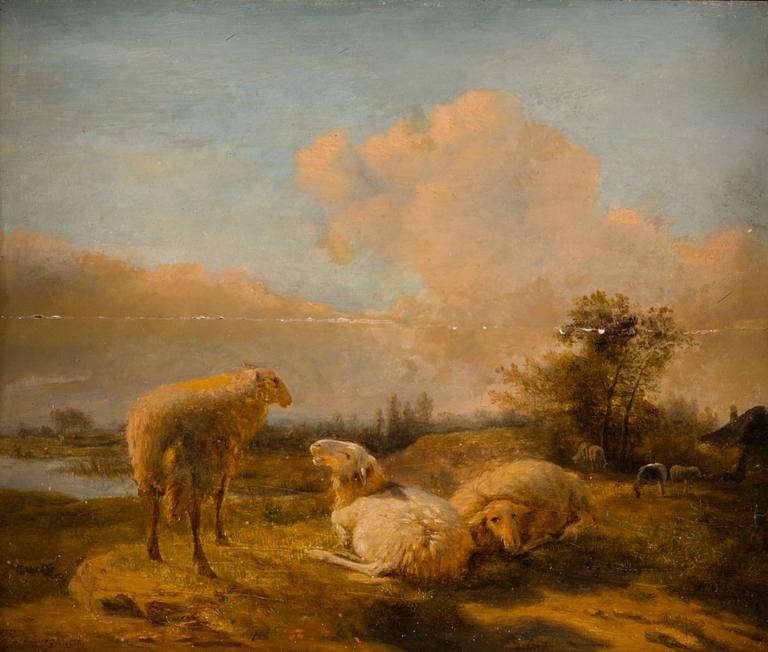 Balthasar Paul Ommeganck, BALTHASAR PAUL OMMEGANCK, SHEEP.