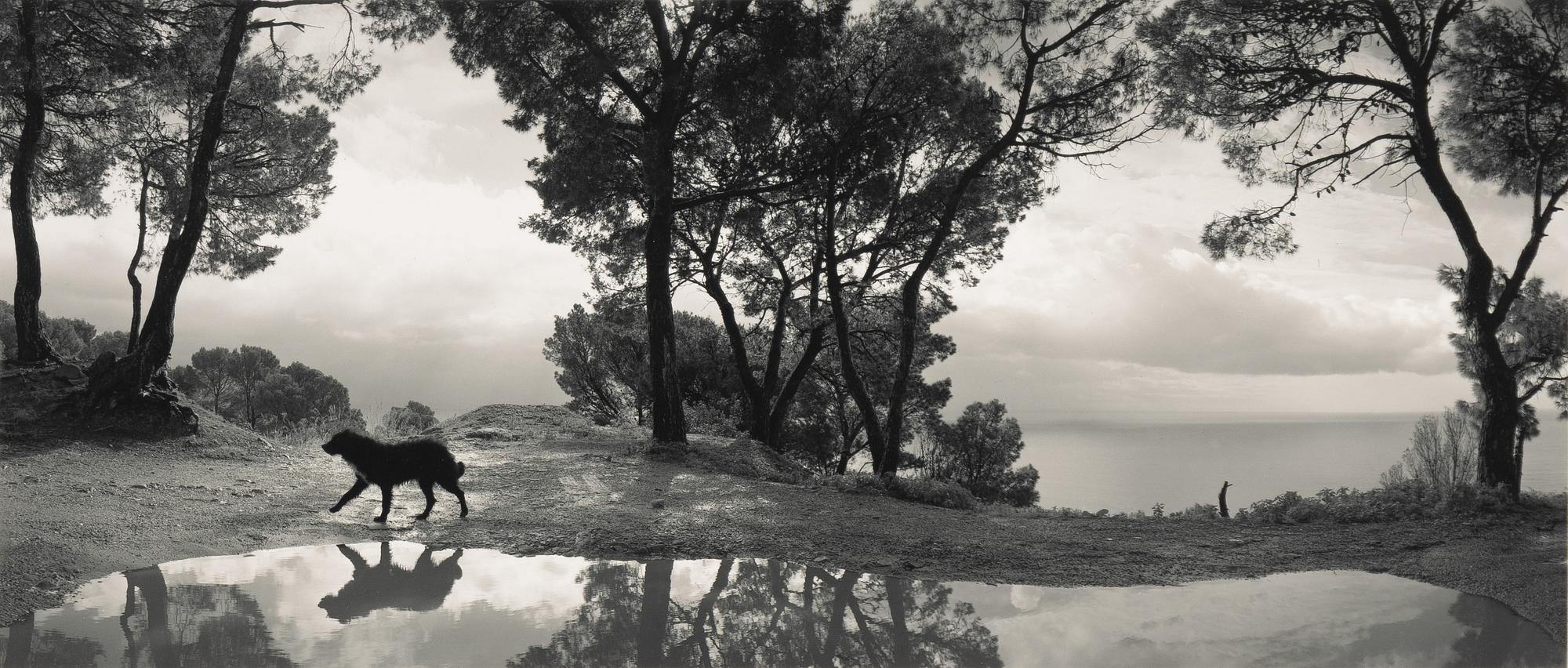 Pentti Sammallahti, "Cilento, Italia, 1999".