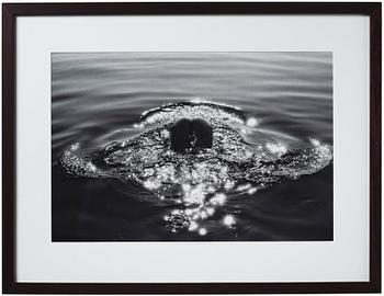 Katja Kremenic, "Bonanza on Adriatic", 2013.