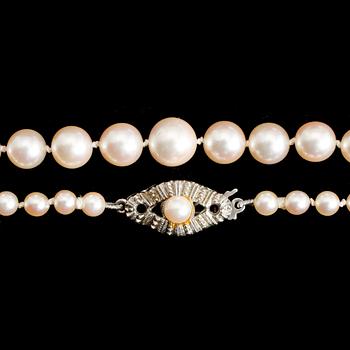 COLLIER, doserade odlade pärlor.