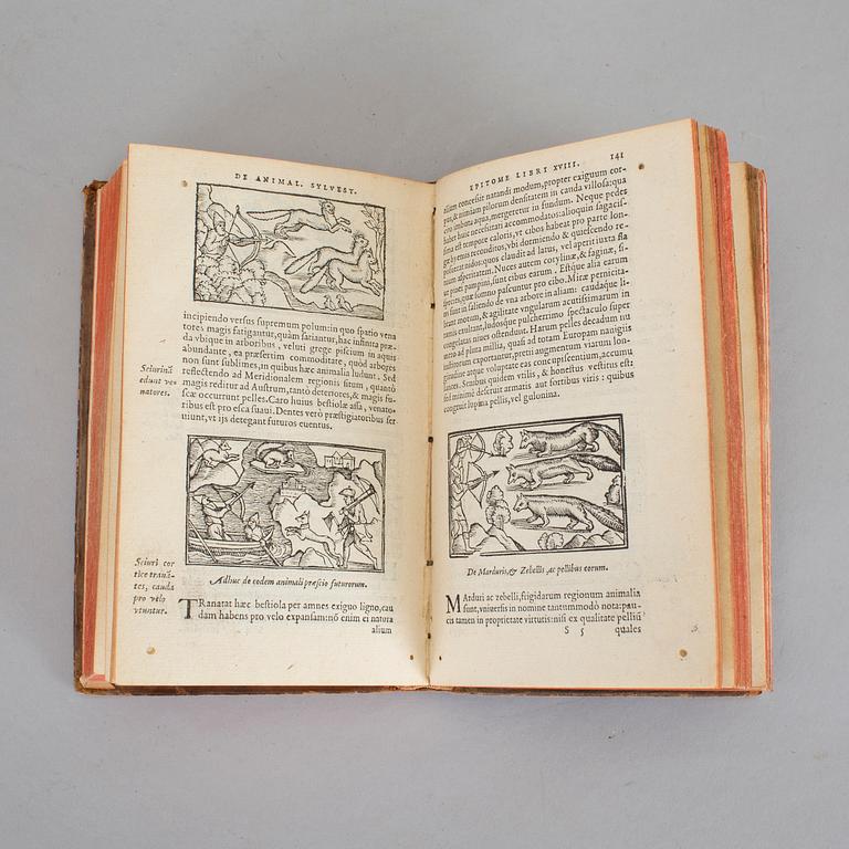 OLAUS MAGNUS (1490-1557). Historia de Gentibus Septentrionalibus. Christopher Plantin, Antwerpen 1558.