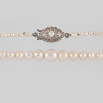 COLLIER, odlade pärlor med lås i silver.