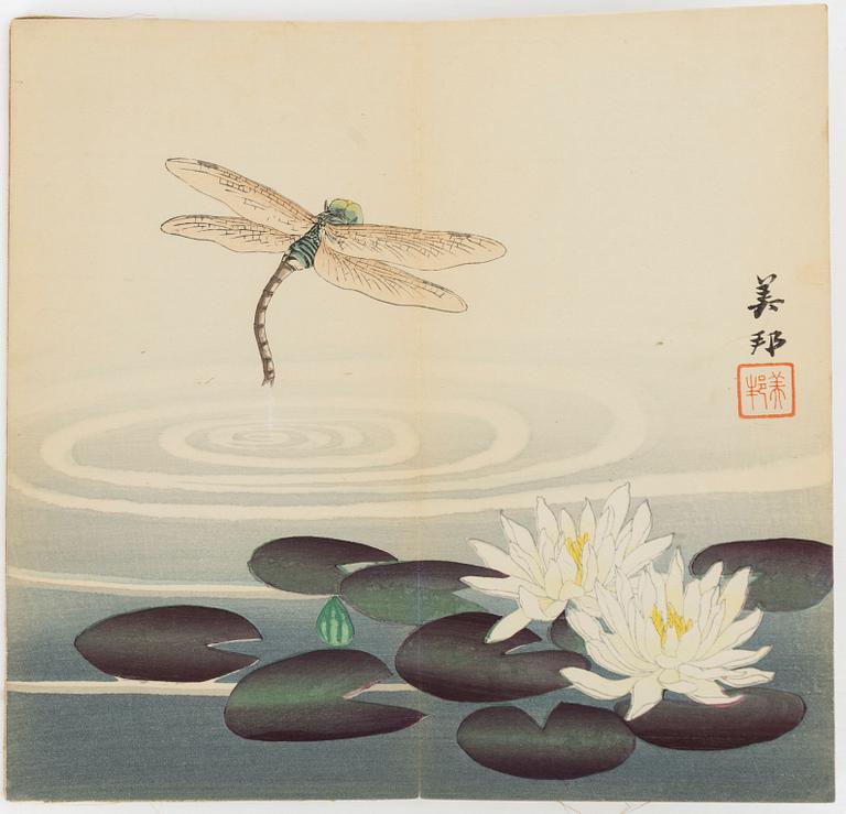 Bihō Takahashi (aktive around 1890-1930), album with 12 woodblock prints, publisher Heikichi Matsuki.