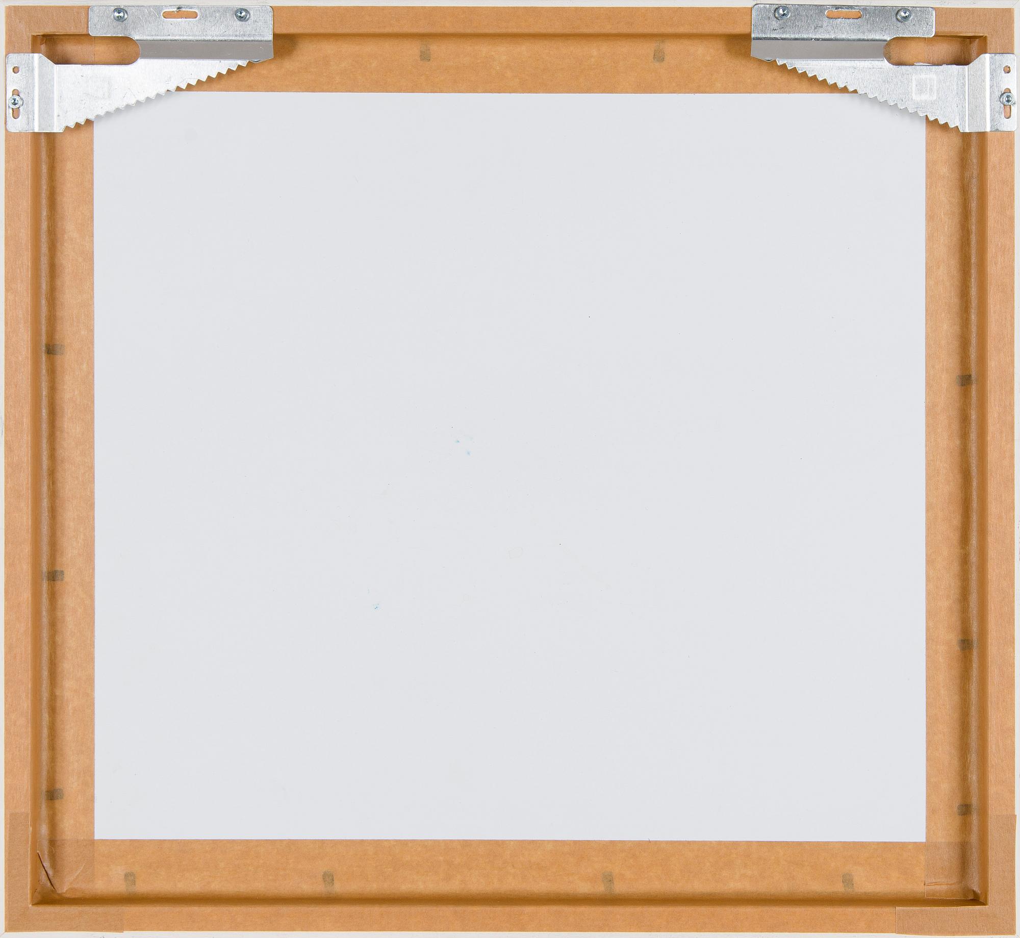 Iiu Susiraja, "Symbios".