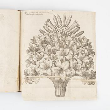 Beautiful botanical work with 177 engravings, 1641 (-44).