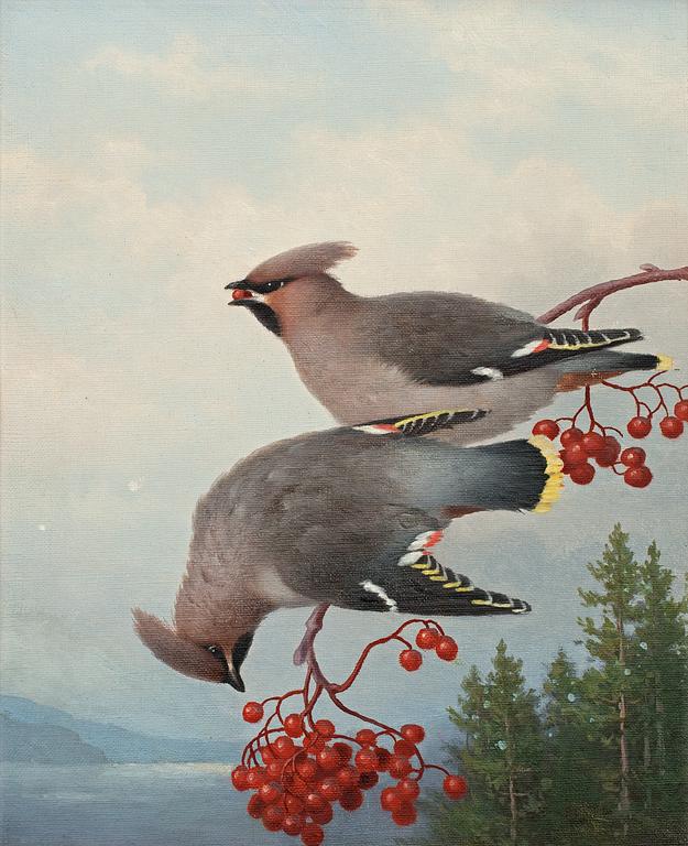 Ferdinand von Wright, WAXWINGS.