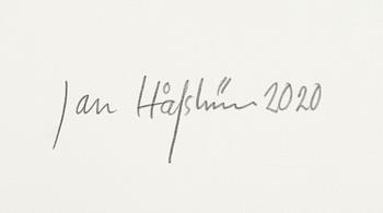 Jan Håfström, "Blue skull".