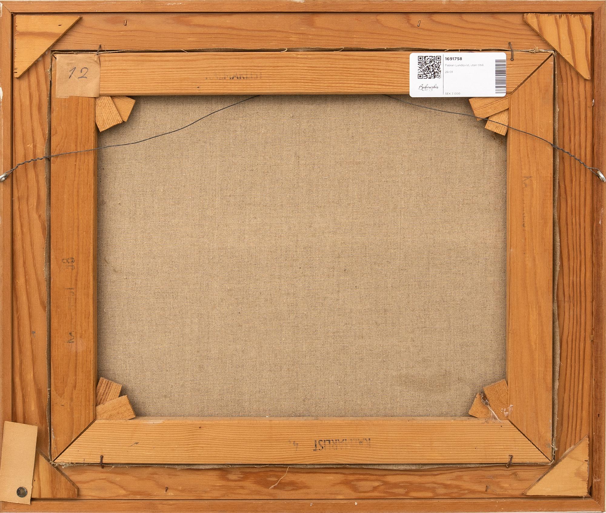 Fabian Lundqvist, utan titel.