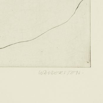 Jesper Waldersten,  'Kaos La Frentica'.