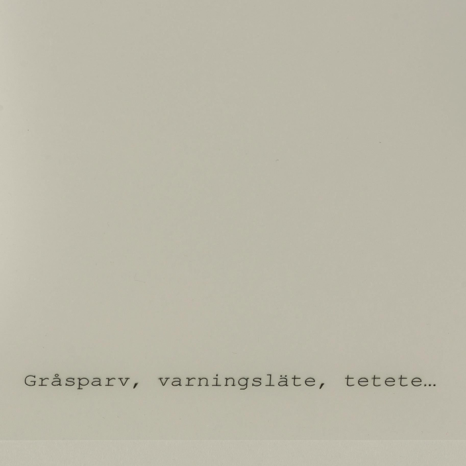 Anna Ling, akvarell och maskinskrift på papper, utfört 2003.