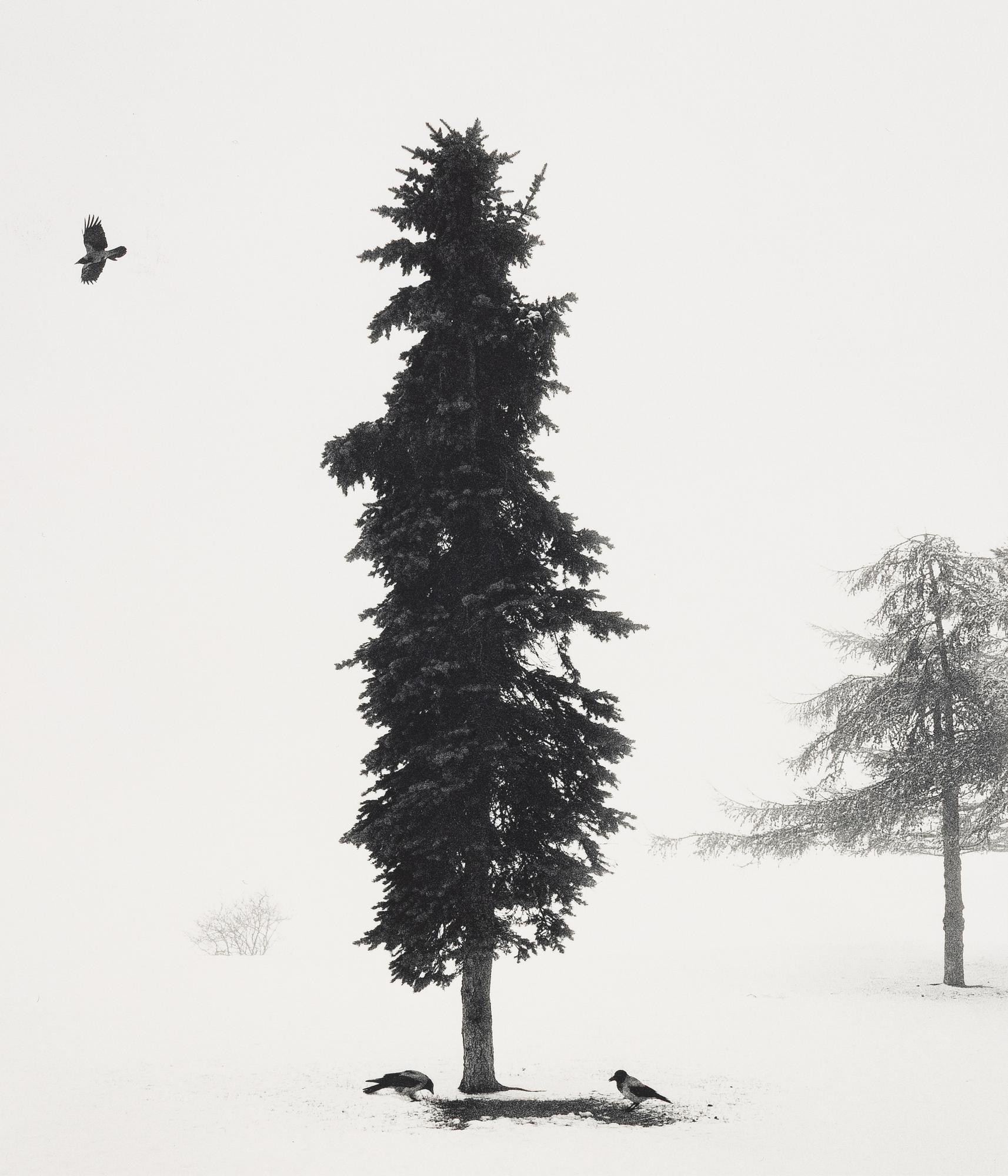 Pentti Sammallahti, Finland Helsinki 2016.
