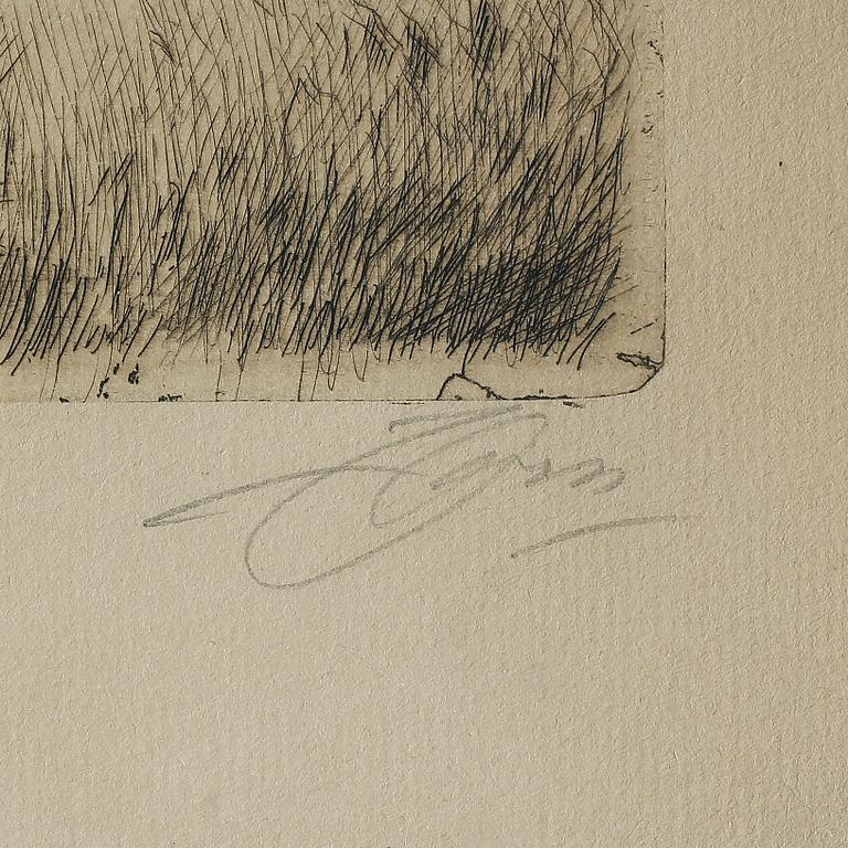 ANDERS ZORN, etsning, signerad.