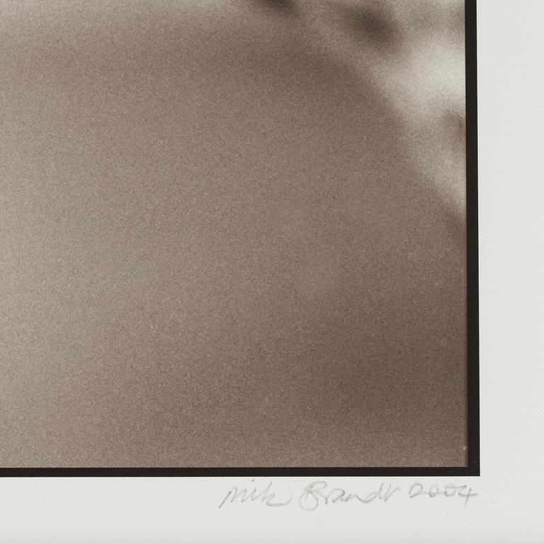 Nick Brandt, "Cheetah Looking Out over Plains, Masai Mara, 2004".