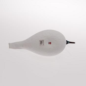 OIVA TOIKKA, LASILINTU, "Karjalan Laulujoutsen", signeerattu O. Toikka Iittala 5140 2015.