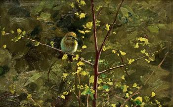 23. Thure Wallner, "Lövsångare i vårsol" (Willow warbler in spring sun).