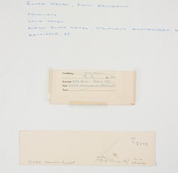 Endre Nemes, "Exotisk sammankomst".