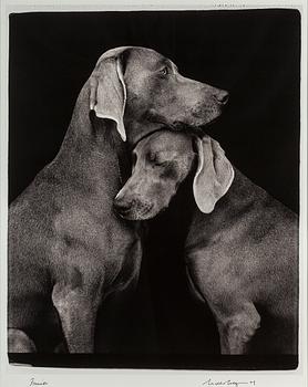 WILLIAM WEGMAN, fotografi, signerat och daterat -09.