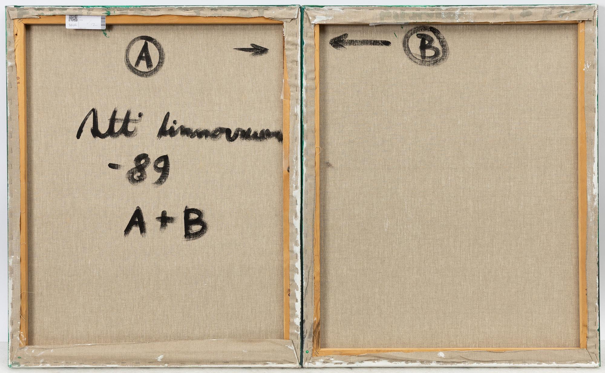 Antti Linnovaara, Untitled, diptych.