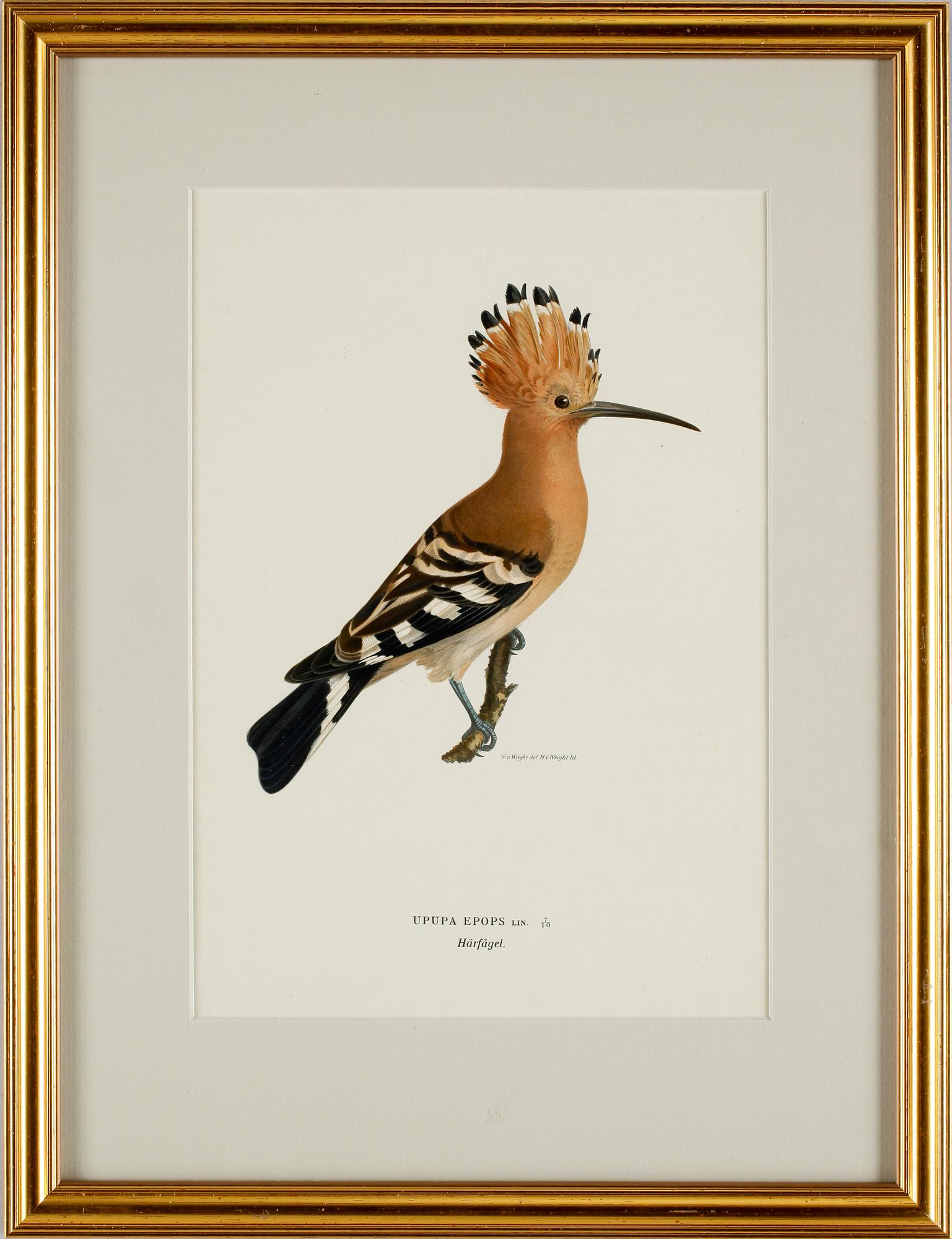 MAGNUS VON WRIGHT, litografiska tryck 4 st,