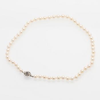 Pearl necklace, white gold clasp set with diamonds and a sapphire.