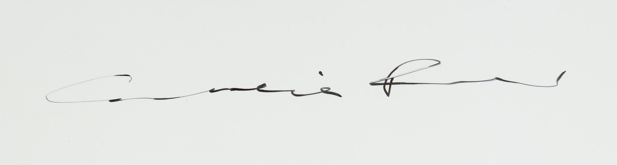 Cornelia Parker, "Wake up!", 2008.