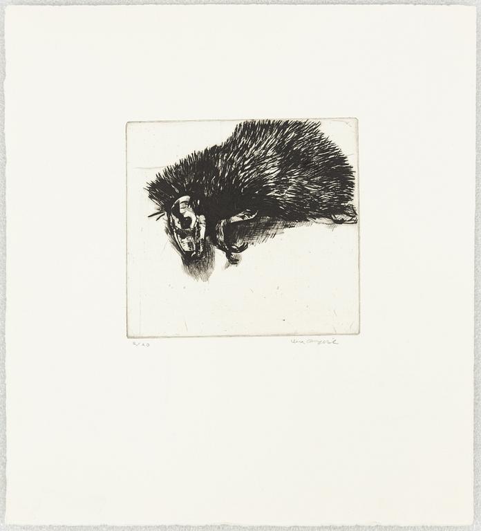 Lena Cronqvist, Hedgehog.