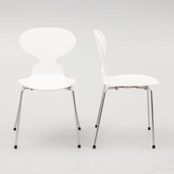 Arne Jacobsen, chairs, 6 pcs, "The Ant", Fritz Hansen, Denmark, 2004.