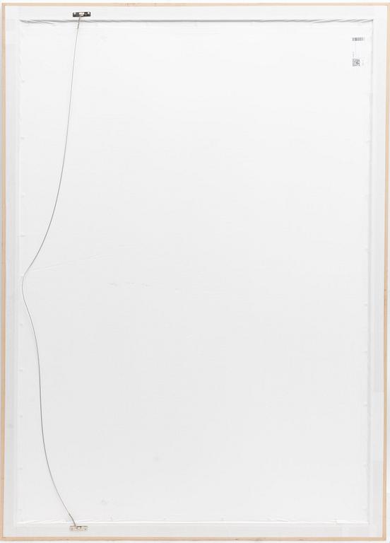 Annette Bonnier, "Morning Swim, Andaman Islands, India", 2012.