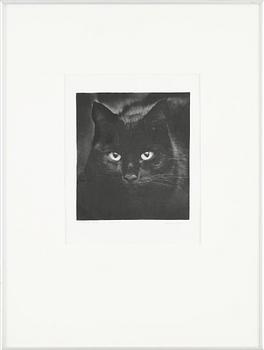 LENNART OLSON, foto, sign, nr 46/200 o dat 1981.