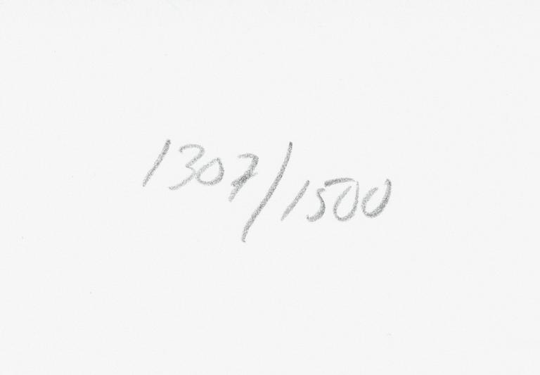 Yrjö Edelmann, "Packed blue and grey heaven".