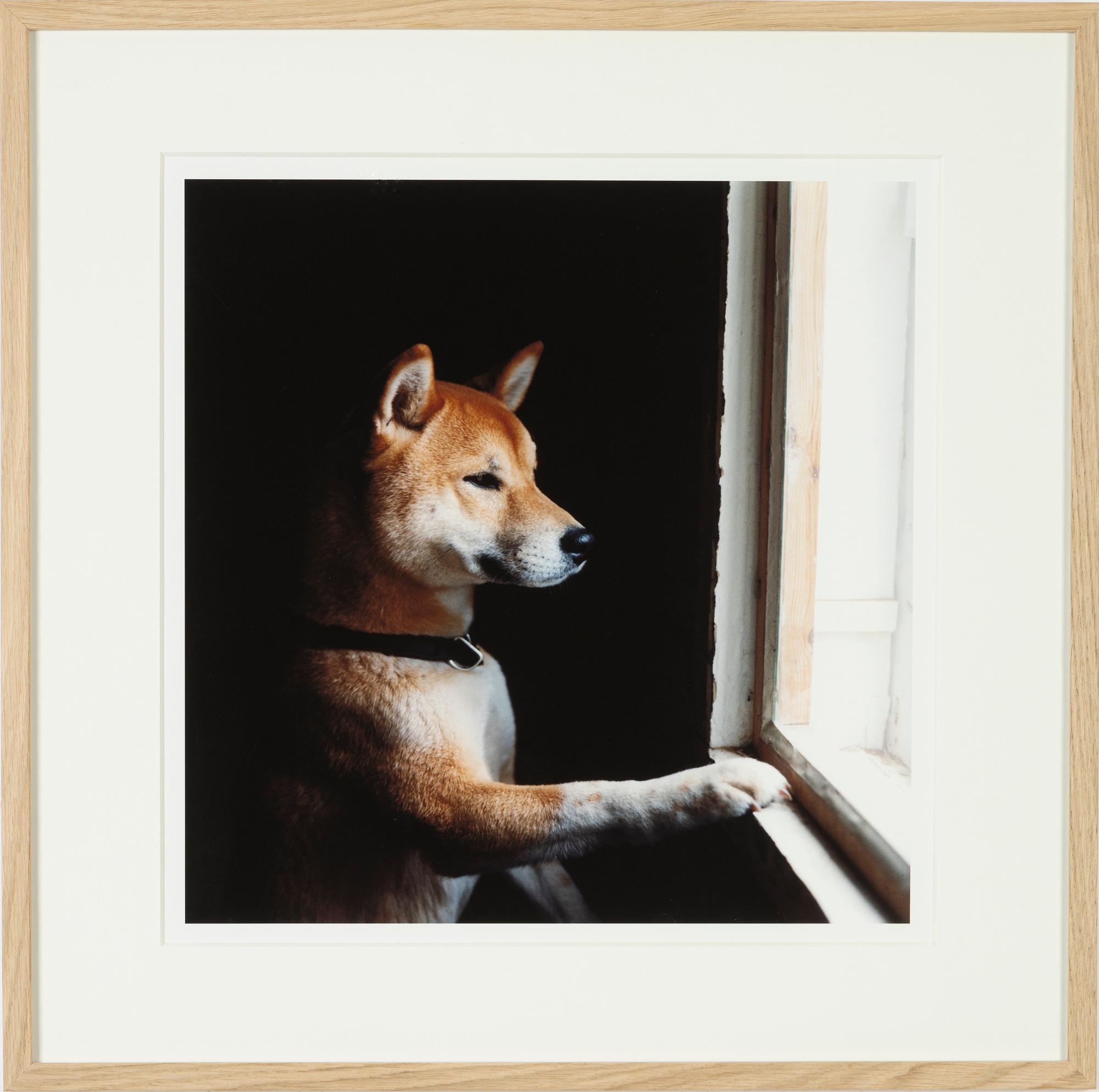 Peter de Ru, photograph signed and numbered AP1.