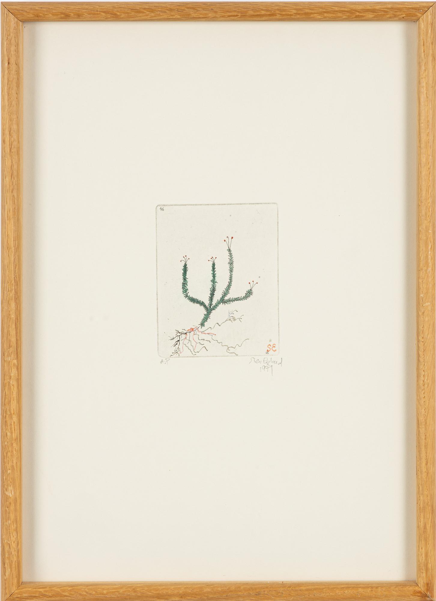 Sten Eklund, "Mossa", Ur "Kullahusets hemlighet".