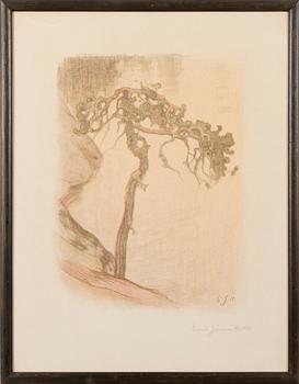 EERO JÄRNEFELT, KNOTIG TALL, HALOSENNIEMI.