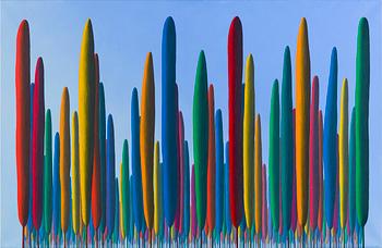 Kristian Krokfors, Colour Park.