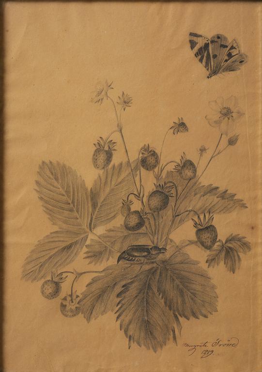 Ramar, ett  par, Sverige, tidigt 1800-tal, Empire, med blomsterstudier av Margareta Tröne (1804-1830).