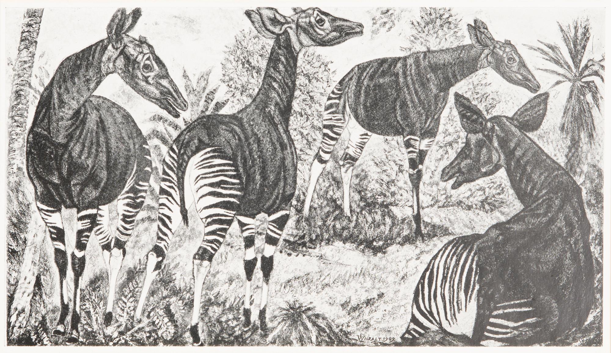 FOLDER, 18 offset prints, Bergendahls, Göteborg 1954.