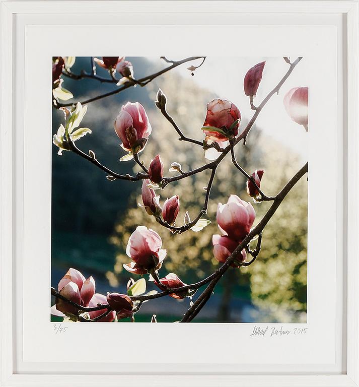 MIKAEL BERTMAR, fotografi, signerat, numrerad 3/75 och daterad 2015.