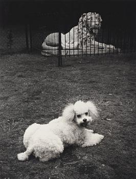 Hans Hammarskiöld, "Syon Park, London", 1955.