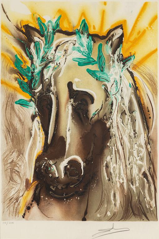 SALVADOR DALÍ, lithograph in colours, signed and numbered 15/250.