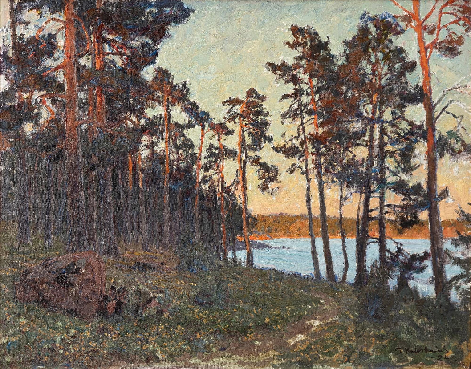 Gottfrid Kallstenius, Sunlit pines.