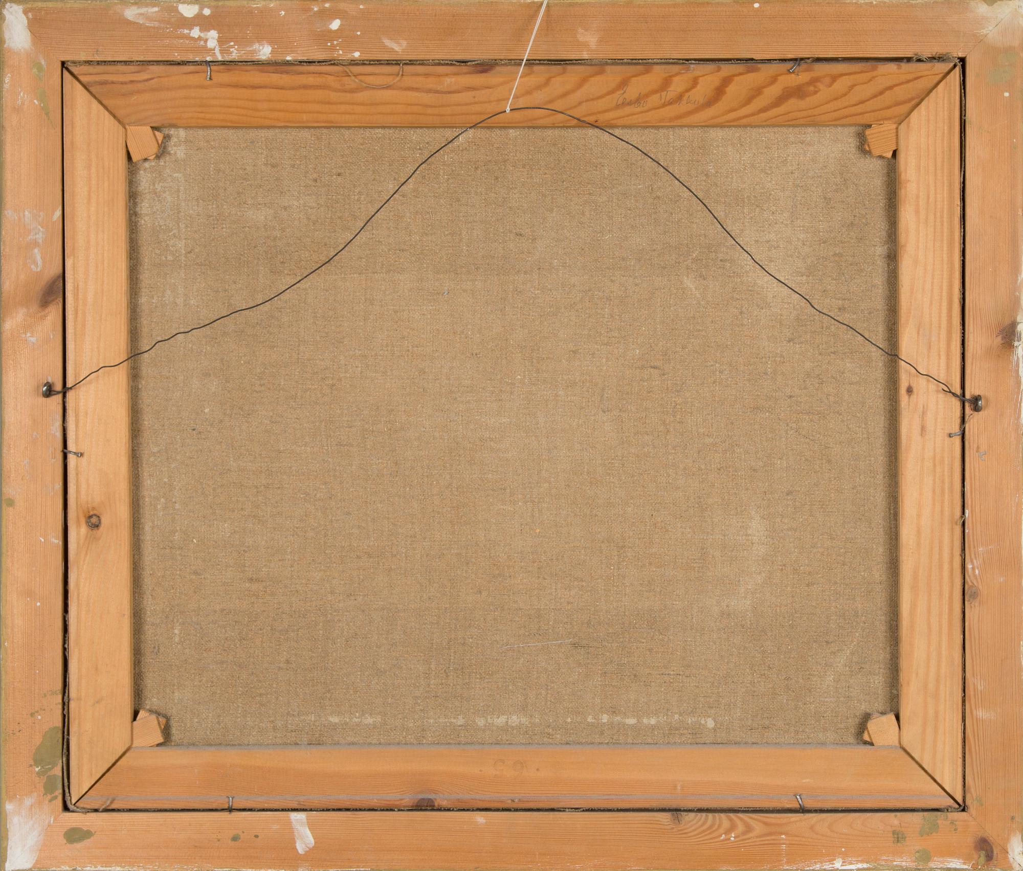 Kaapo Wirtanen, Landskap.