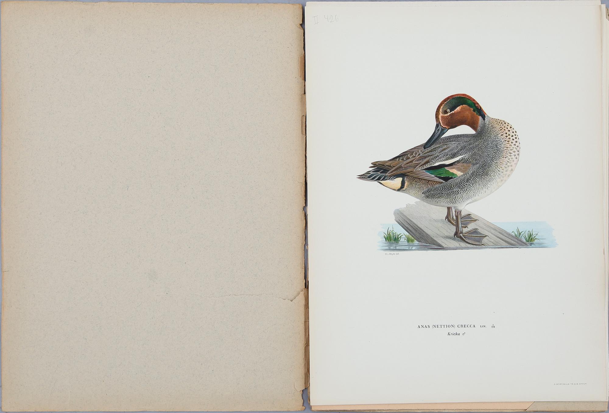 BRÖDERNA VON WRIGHT, ca 30 häften, litografiska tryck, "Svenska fåglar", ca 1920.